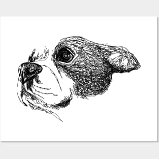 Terrier dog draw with scribble art style Posters and Art